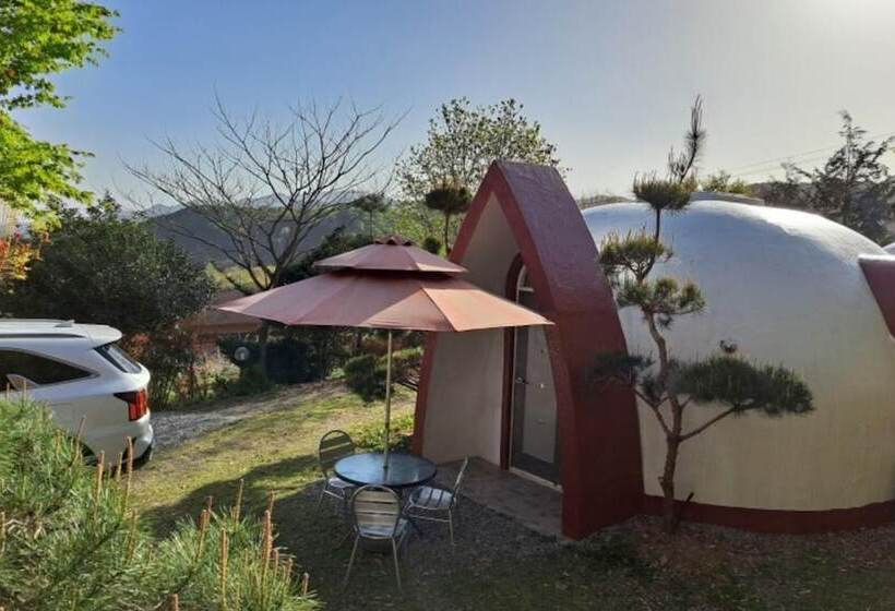 Damyang Firefly Pension