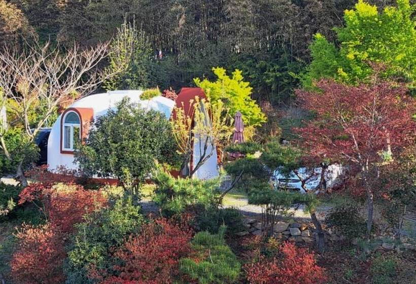 Damyang Firefly Pension