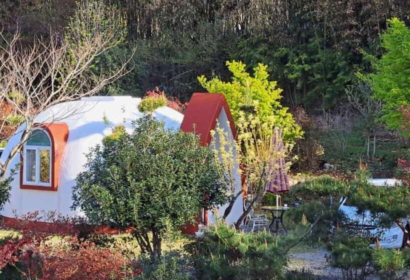 Damyang Firefly Pension