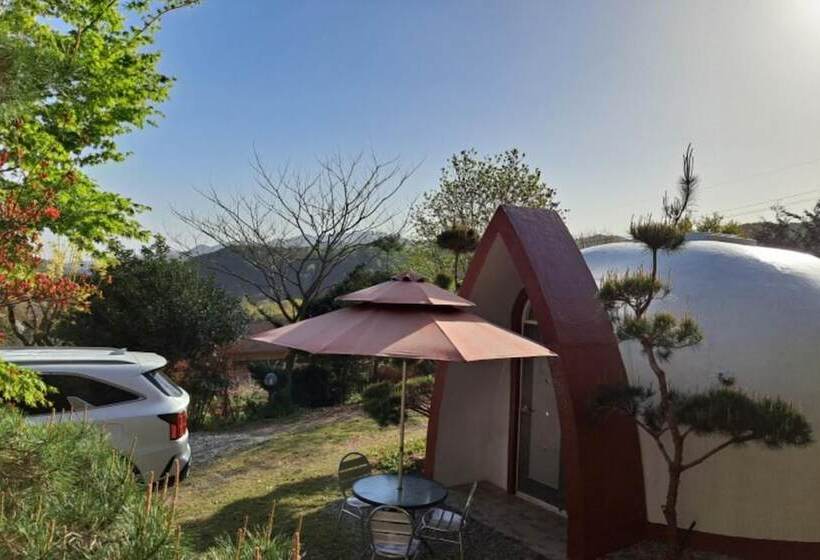 Damyang Firefly Pension