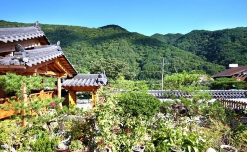 Danyang Hanok Pension