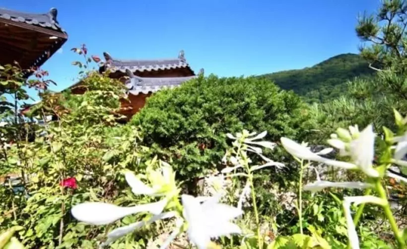 Danyang Hanok Pension