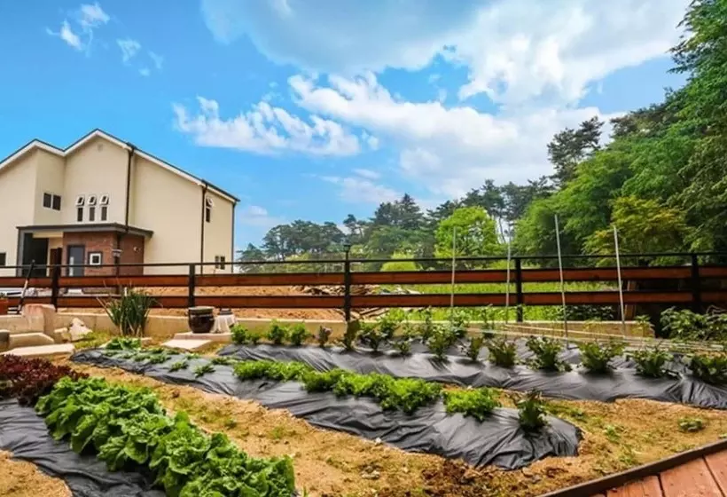 Gangneung Geukkot Pension