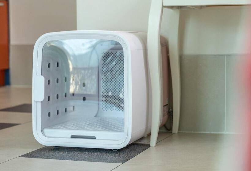 Gapyeong Beilli Pet Pool Villa Pension