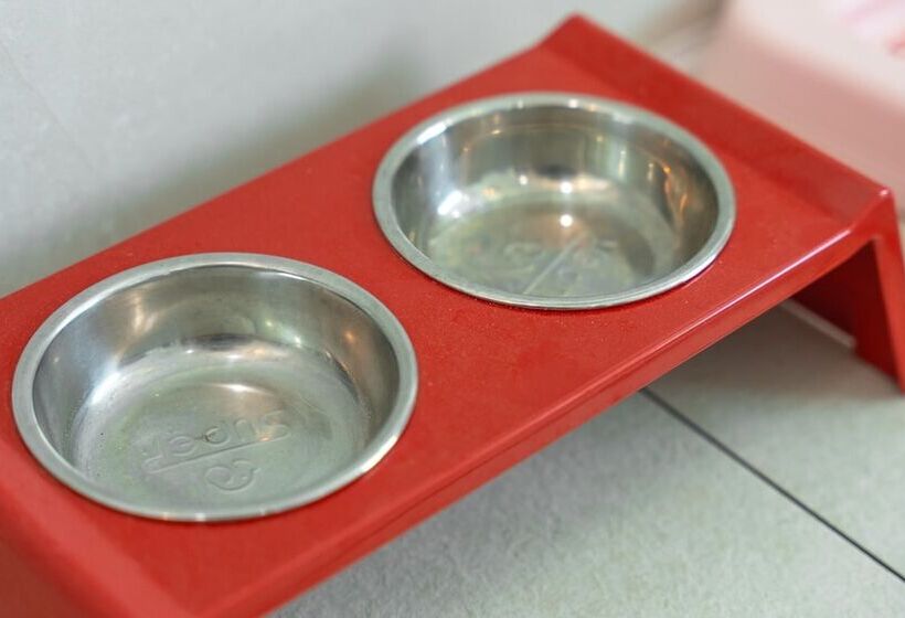 Gapyeong Beilli Pet Pool Villa Pension