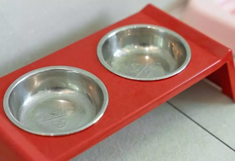 Gapyeong Beilli Pet Pool Villa Pension