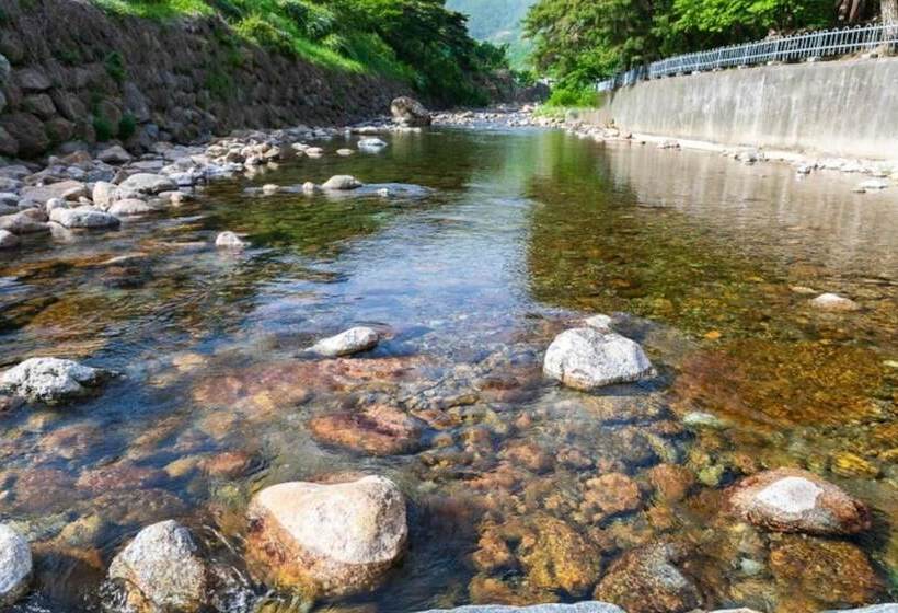 Gurye Dandelion Travel Pension