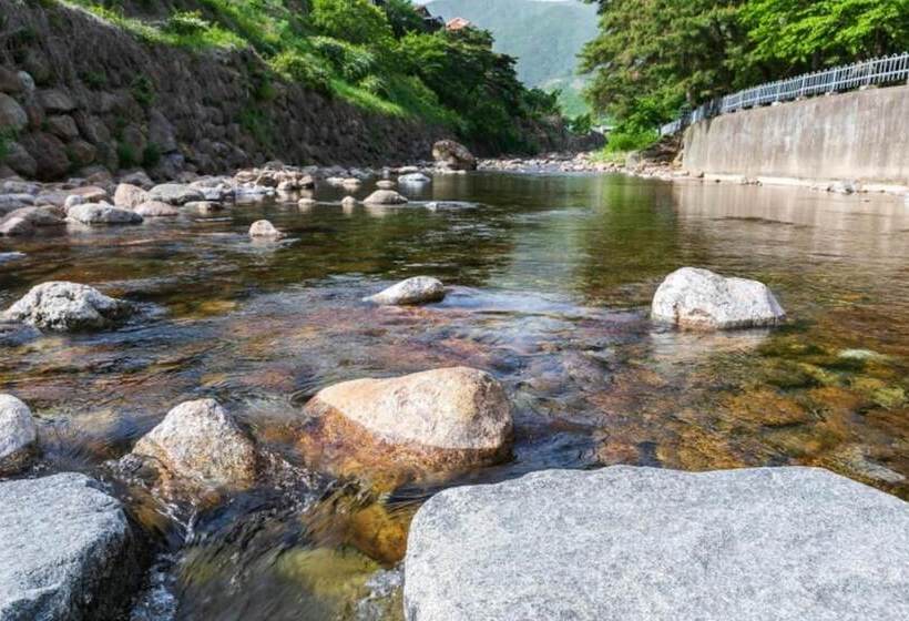 Gurye Dandelion Travel Pension