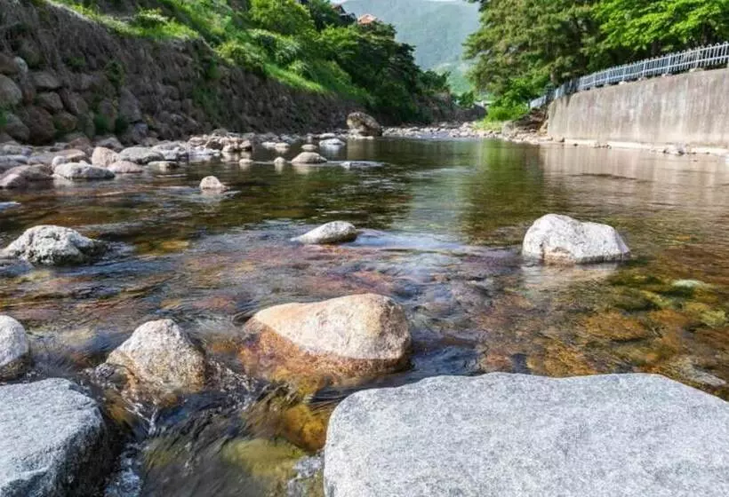 Gurye Dandelion Travel Pension