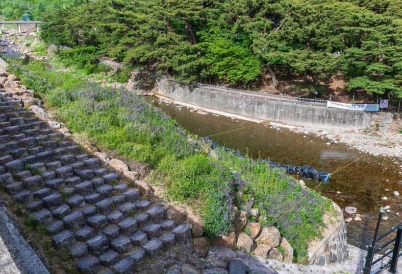 Gurye Dandelion Travel Pension