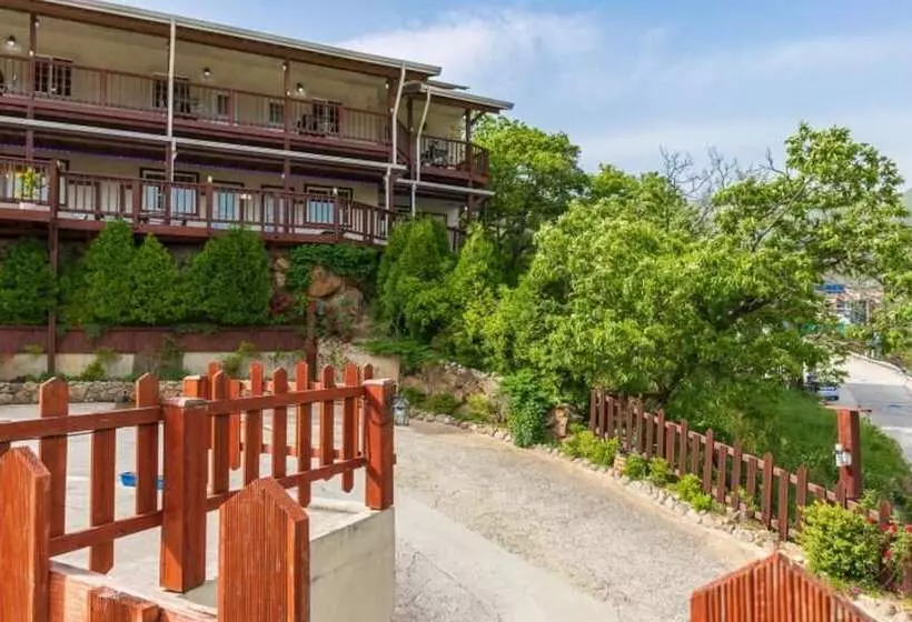 Gurye Dandelion Travel Pension