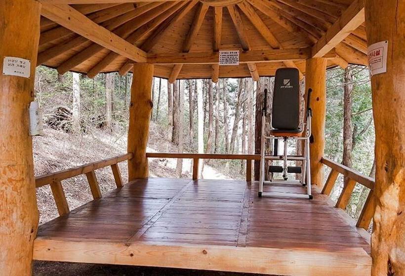 Jangseong Pyeonbaeksup Hwangto Pension