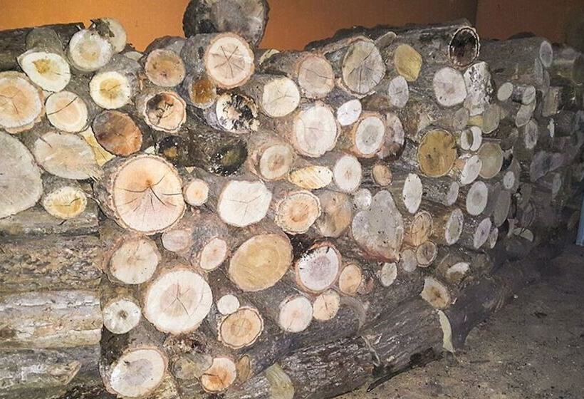 Jangseong Pyeonbaeksup Hwangto Pension