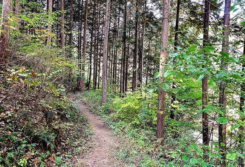 Jangseong Pyeonbaeksup Hwangto Pension