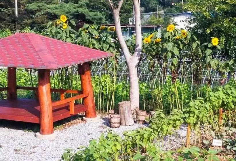 Jangseong Pyeonbaeksup Hwangto Pension