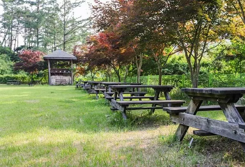 Muju Bandi Pension