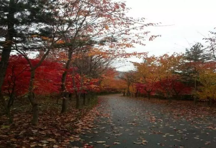 Muju Bandi Pension
