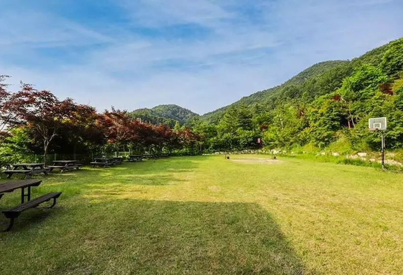 Muju Bandi Pension