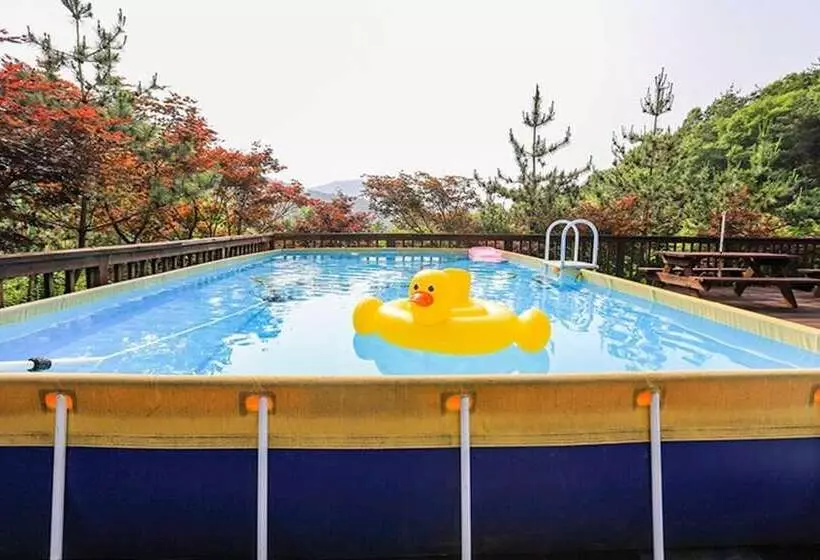 Muju Bandi Pension
