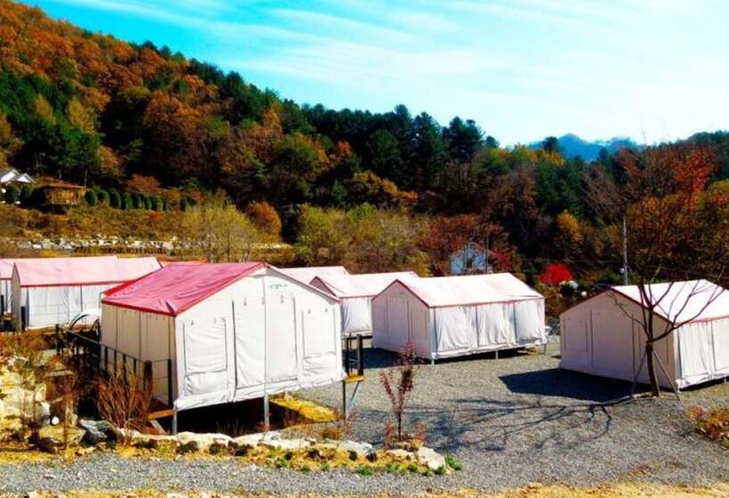بنسيون Hongcheon Hwani Glamping