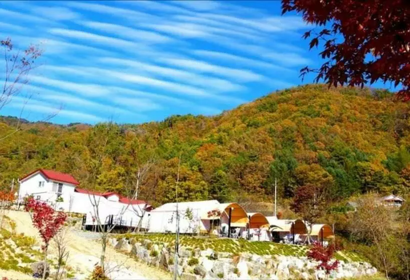 ペンション Hongcheon Hwani Glamping