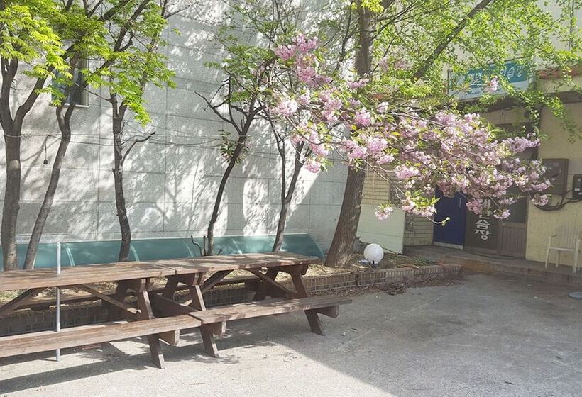 Pensão Yangyang Party Guest House Naksan