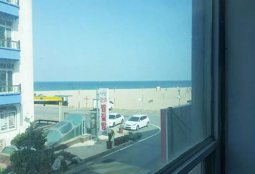 ペンション Yangyang Party Guest House Naksan