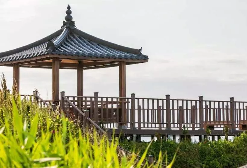 Pohang Bagliore Pension