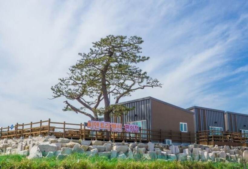 Pohang Sea And Tree Pension