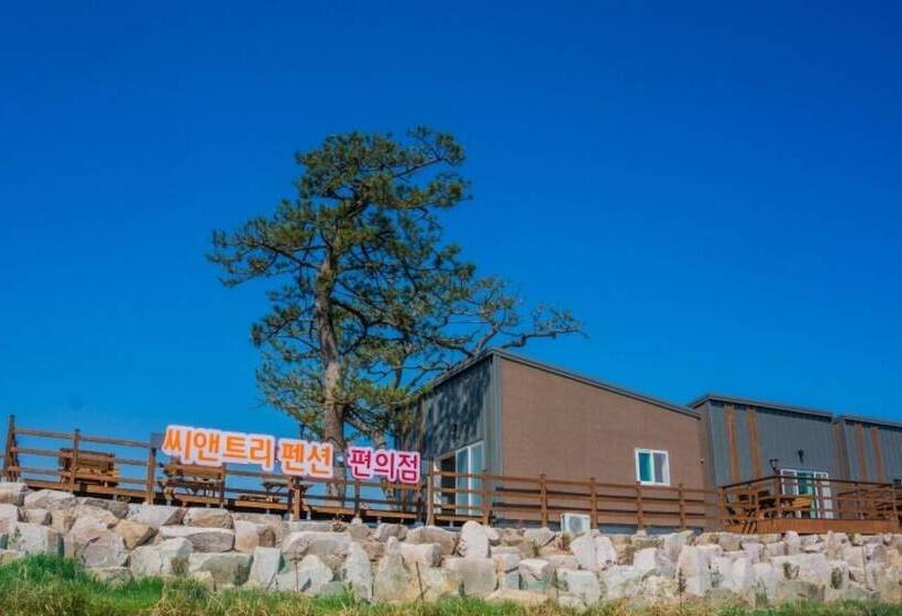 Pohang Sea And Tree Pension