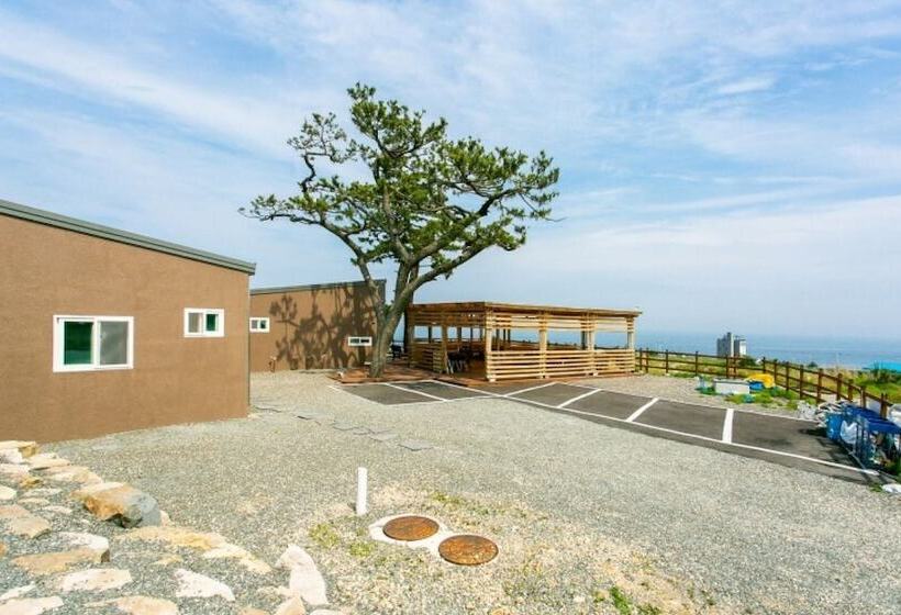 Pohang Sea And Tree Pension