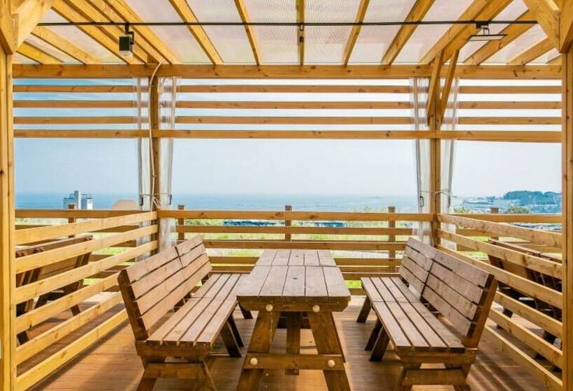 Pohang Sea And Tree Pension