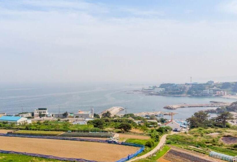 Pohang Sea And Tree Pension