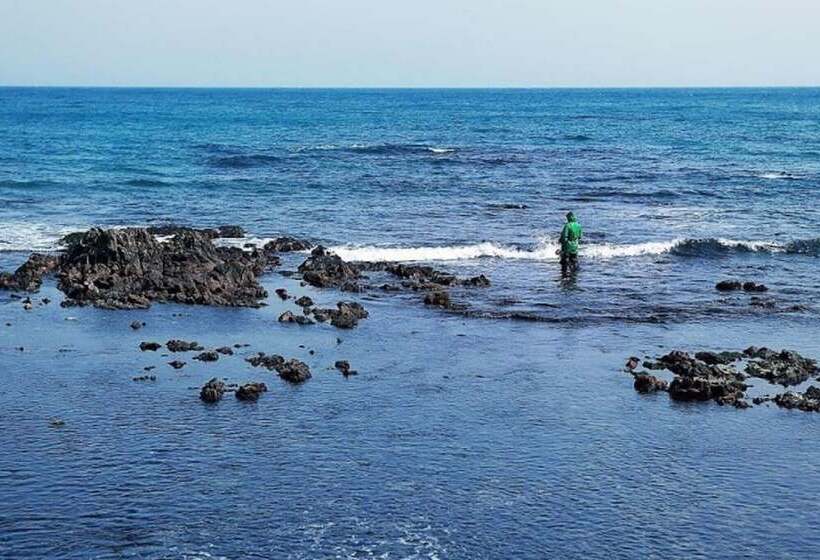 Pohang Star Farm Pension