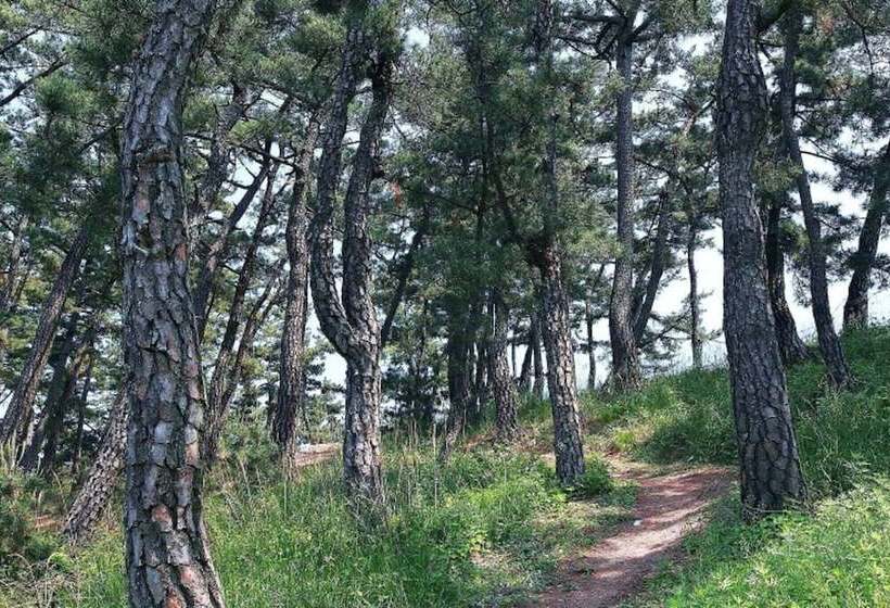 Pohang Star Farm Pension