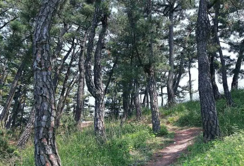Pohang Star Farm Pension