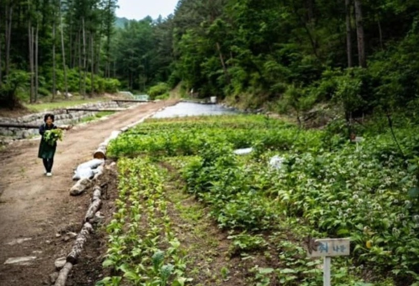 Pyeongchang Soop42gil Pension