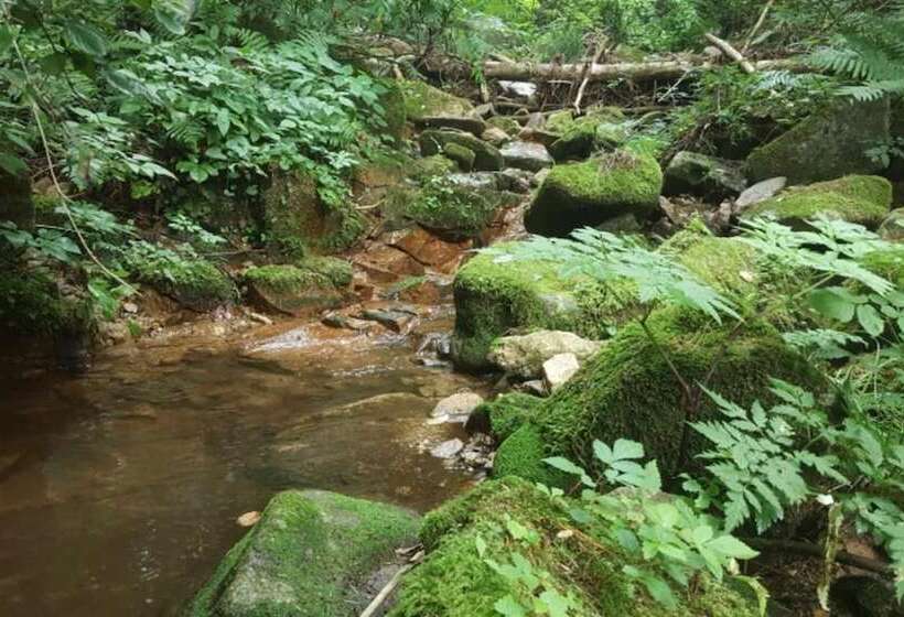 Pyeongchang Soop42gil Pension