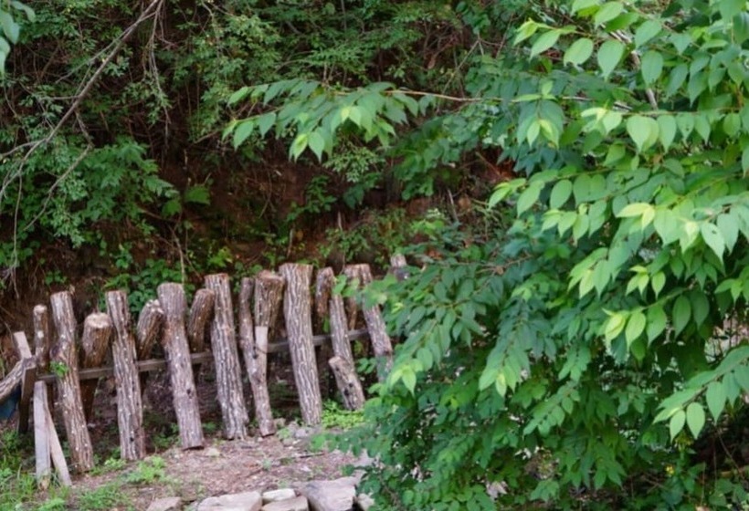 Pyeongchang Soop42gil Pension