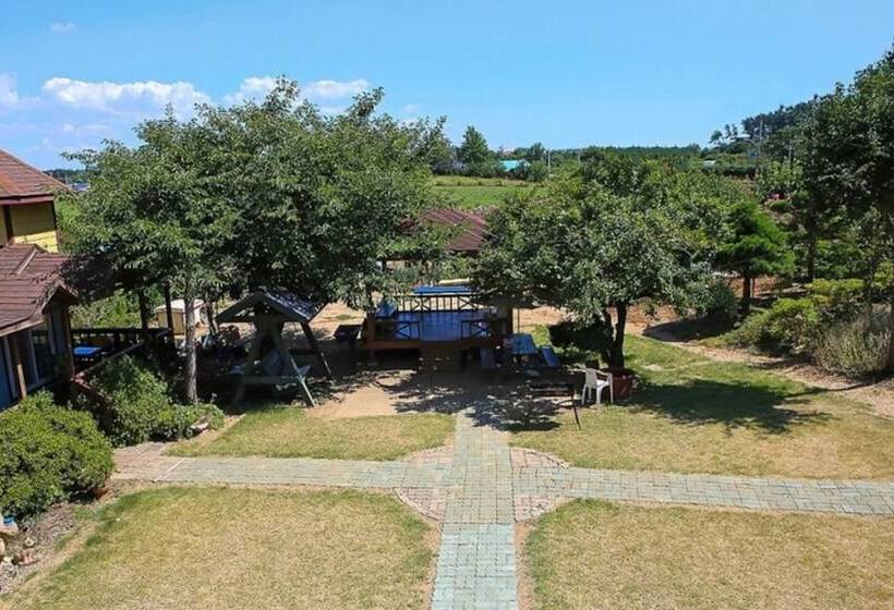 Taean Hannane Pension