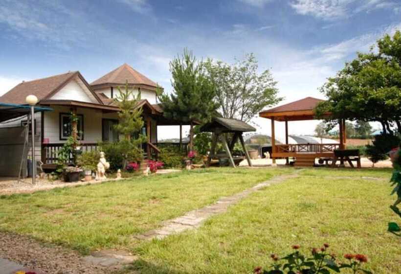 Taean Hannane Pension