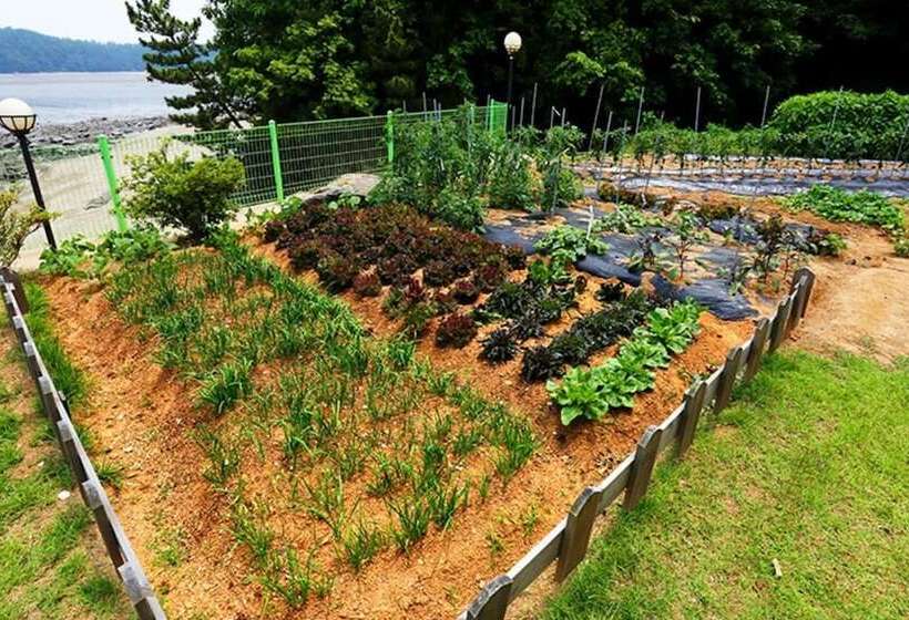 Taean O2 Ocean Pension