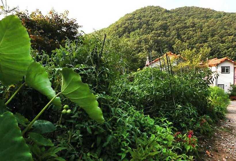 Yangpyeong Angel Singmurwon Pension