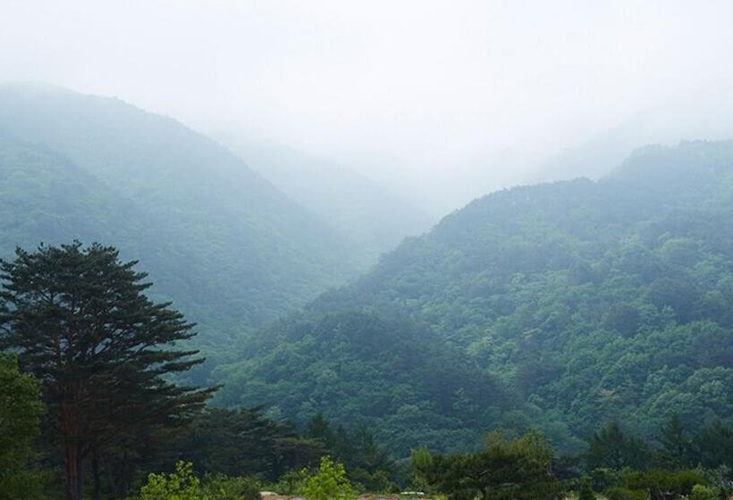 Yangyang Denver House Pension