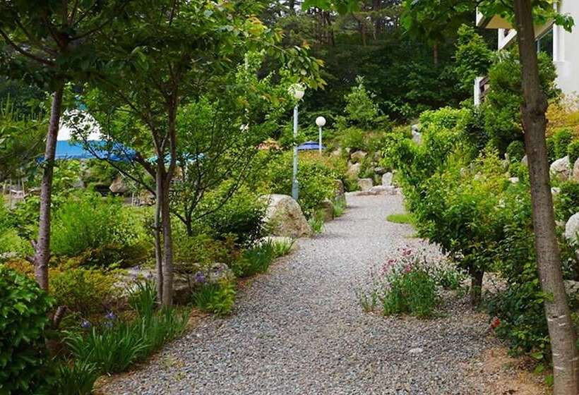 Yangyang Denver House Pension