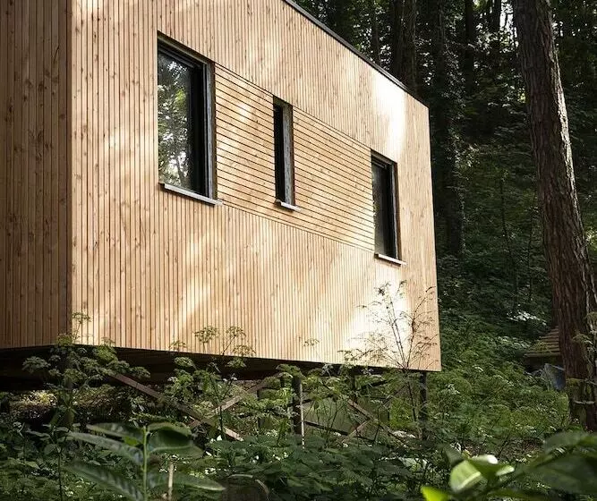 Bains De Forêt   Lodge Cosy & Spa