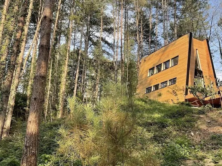 Bains De Forêt   Lodge Cosy & Spa