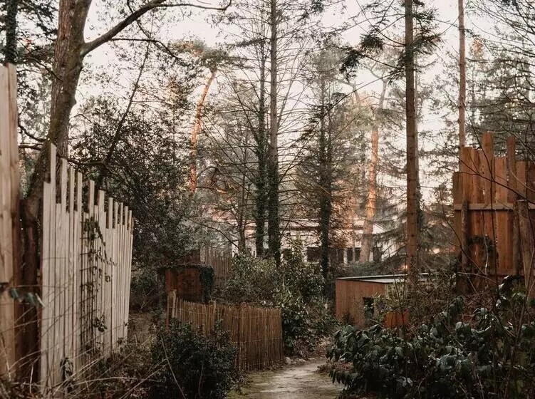 Bains De Forêt   Lodge Cosy & Spa