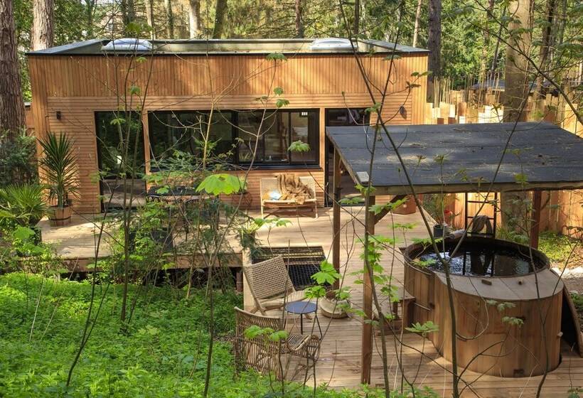 Bains De Forêt   Lodge Cosy & Spa