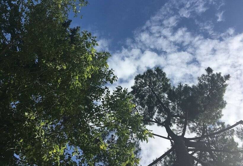 Bains De Forêt   Lodge Cosy & Spa